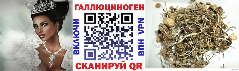 Галлюциногенные грибы мухоморы  Новошахтинск 