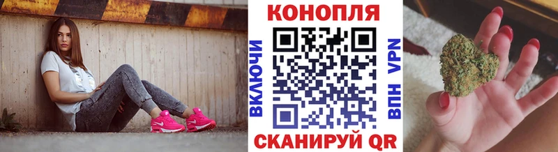 Бошки Шишки гибрид  где купить наркотик  Новошахтинск 
